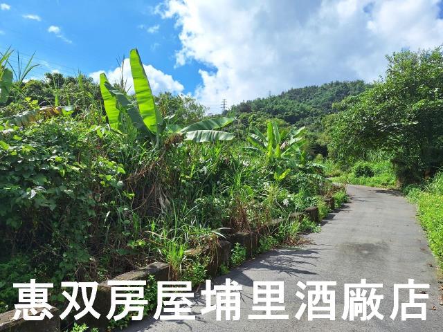 埔里農地-4