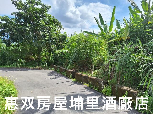 埔里農地-5