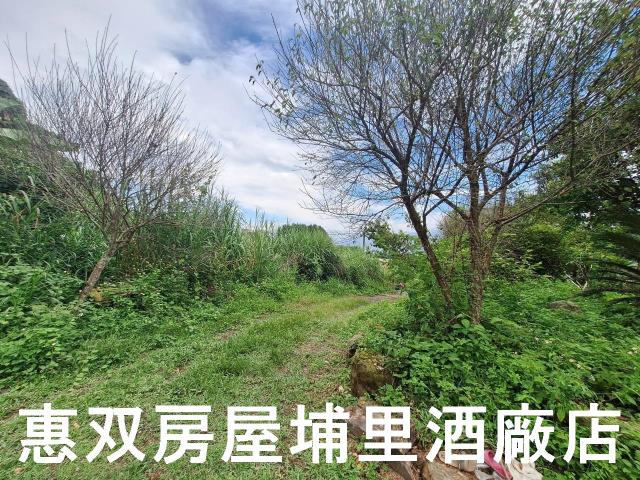 埔里農地-11