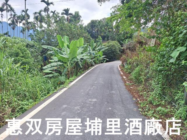 埔里農地-1