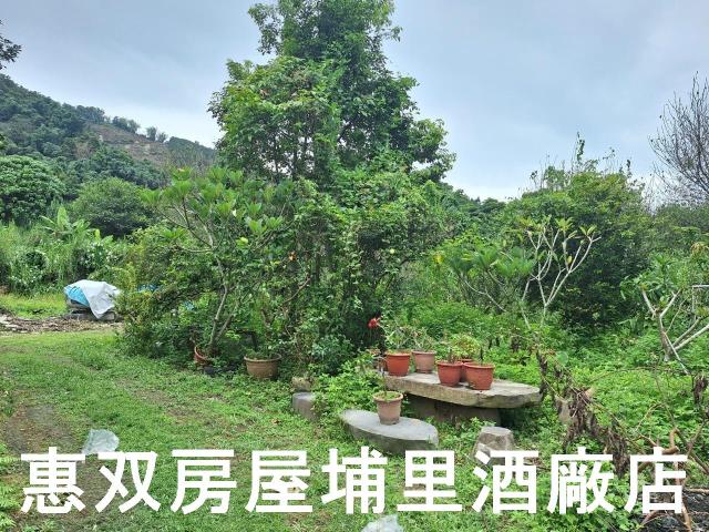 埔里農地-2