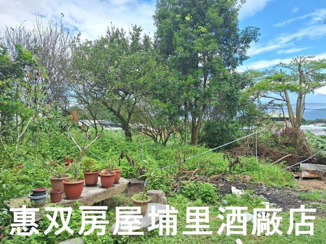 埔里農地-3