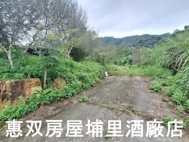 埔里農地-4