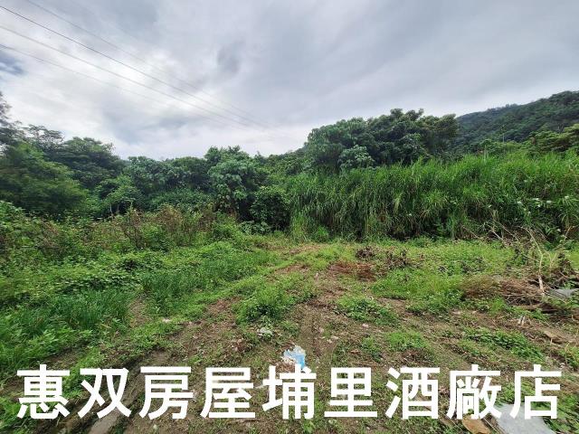 埔里農地-5