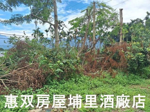埔里農地-7