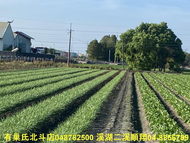埤頭農地-1