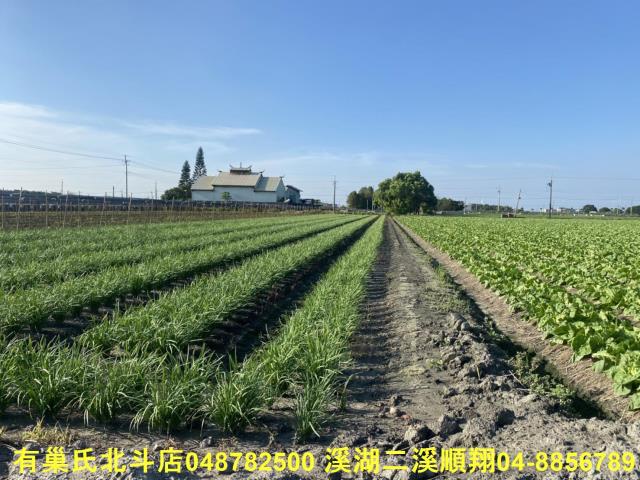 埤頭農地-3