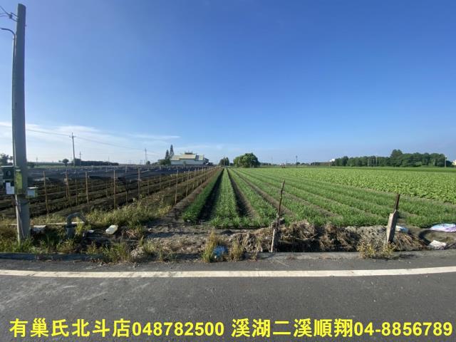 埤頭農地-8