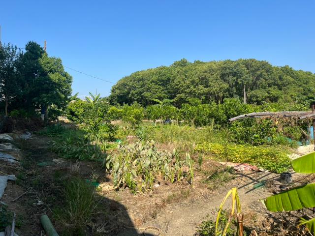 八德農地-1