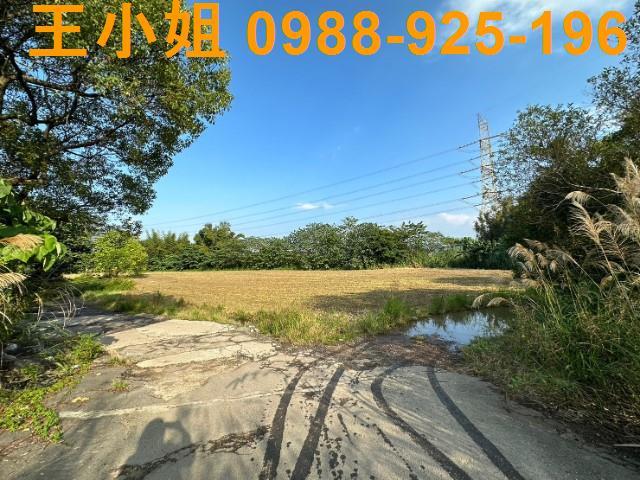 桃園農地-10