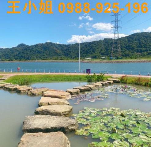 桃園農地-3