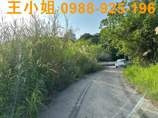 桃園農地-8