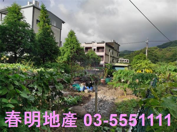 新竹芎林農地-4