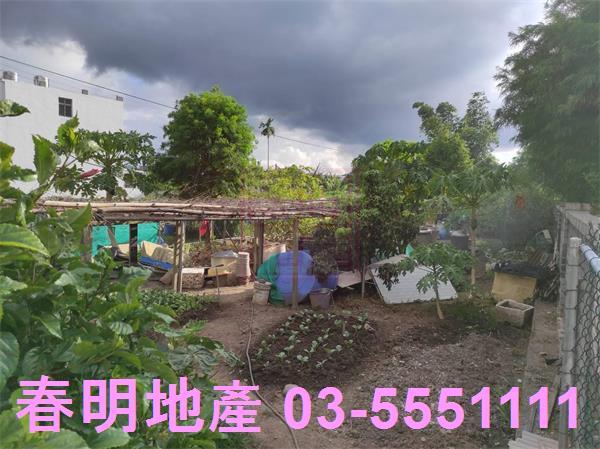 新竹芎林農地-6