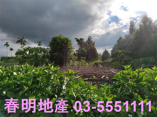 新竹芎林農地-7
