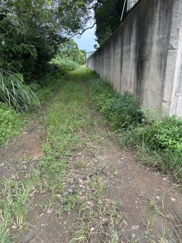 桃園龍潭農地-1