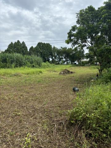桃園龍潭農地-3