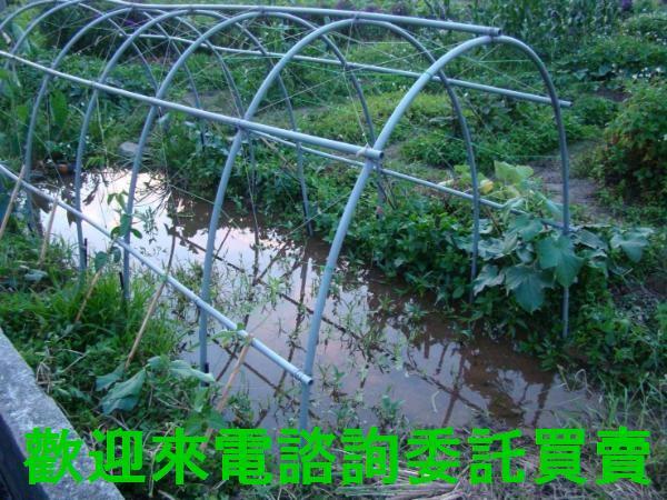 新北農地-2