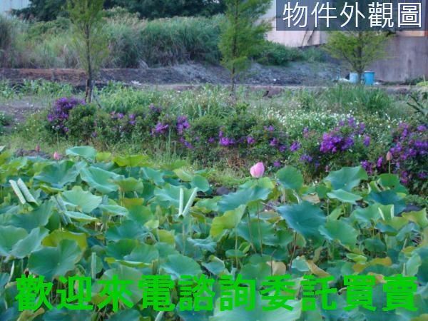 新北農地-1