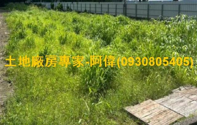 高雄大寮農地-1