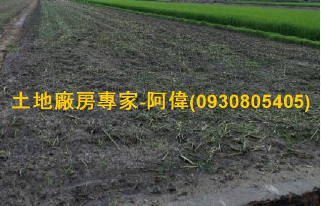 高雄橋頭農地-1