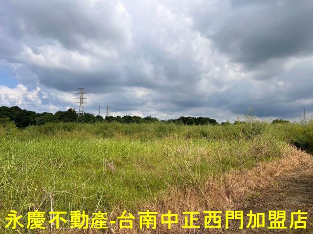 新市農地-4