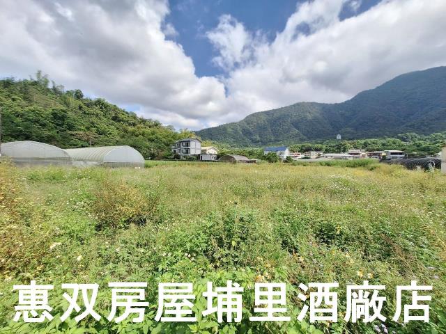 埔里農地-1