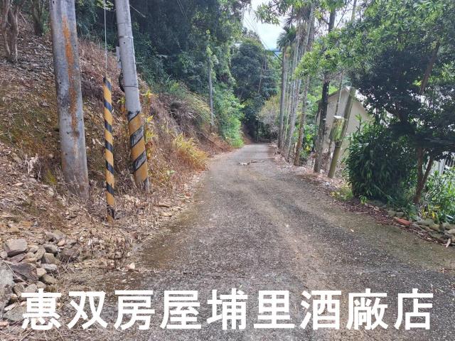 埔里建地-5