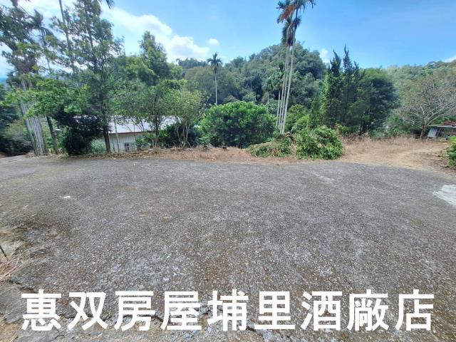 埔里建地-3