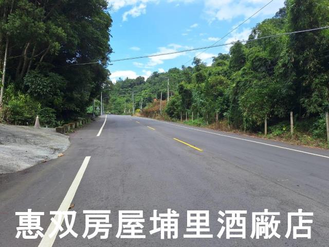 埔里建地-6