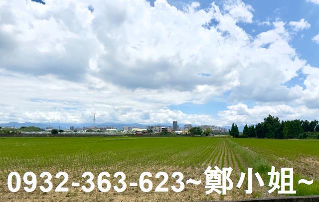 桃園農地-2