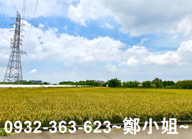 桃園農地-3