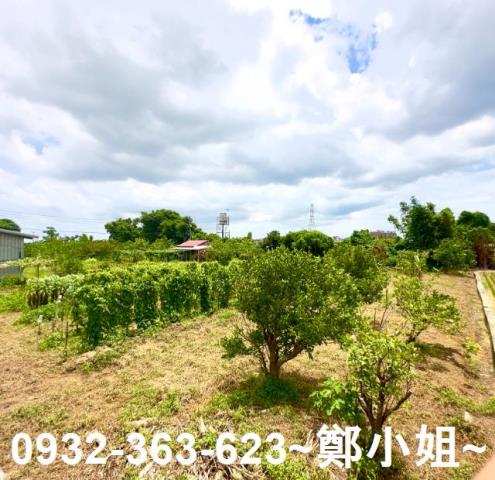 桃園農地-8