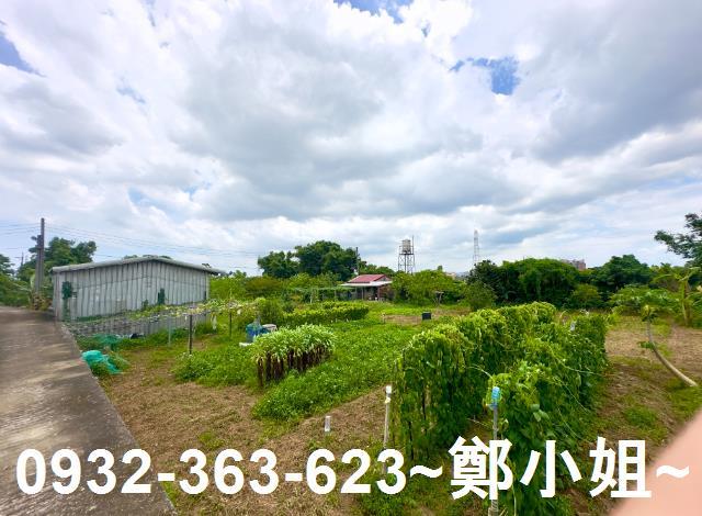 桃園農地-9