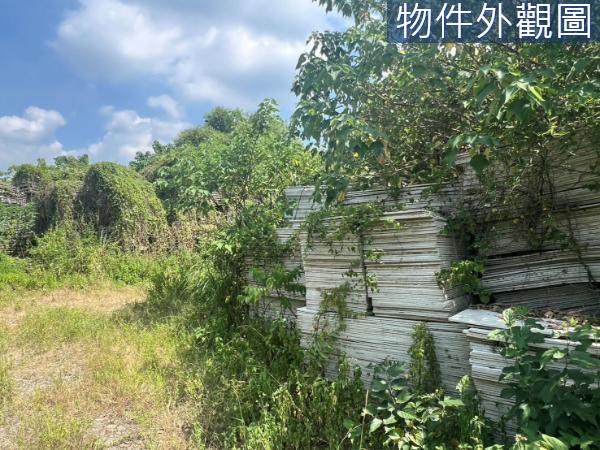 新竹芎林農地-5