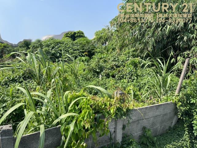 竹塘建地-1
