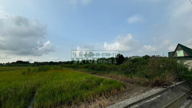 新港農地-6
