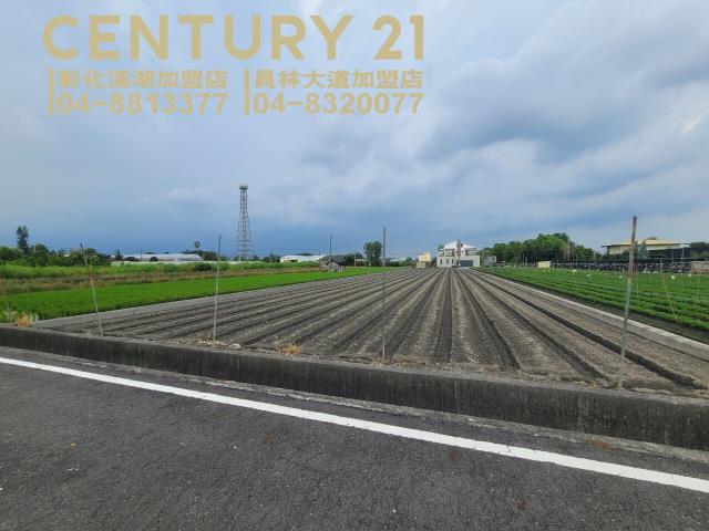 田尾農地-3