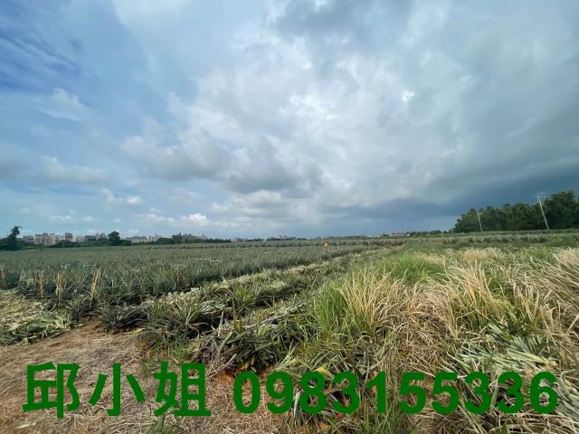 民雄農地-1