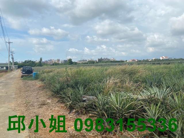 民雄農地-2
