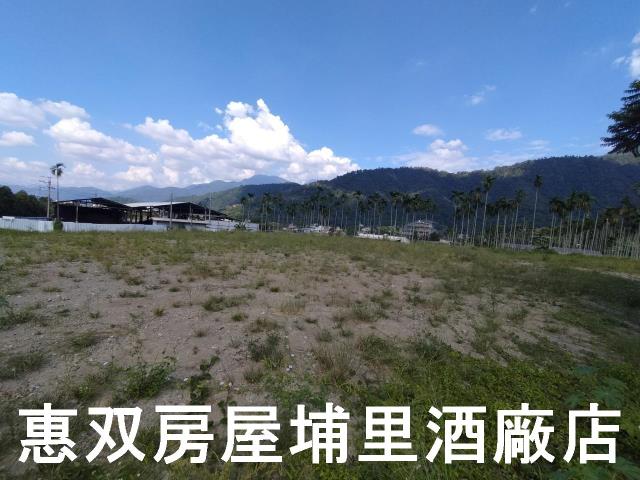 埔里農地-2