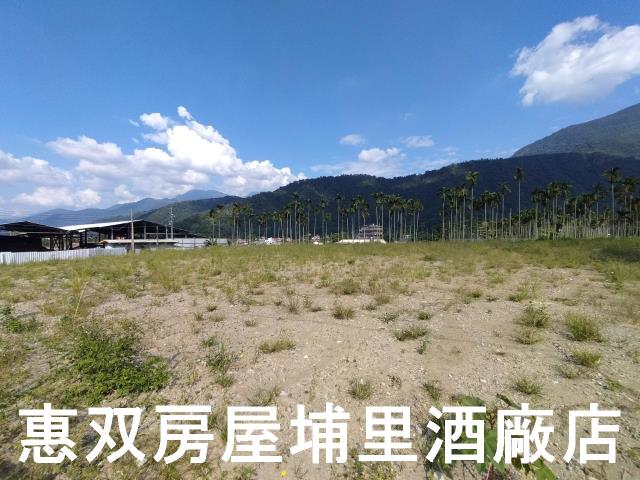 埔里農地-5