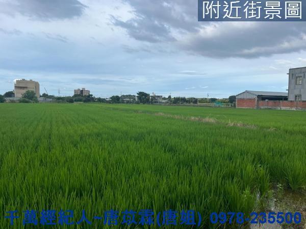 新竹農地-1