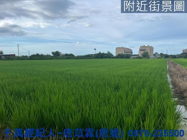 新竹農地-6