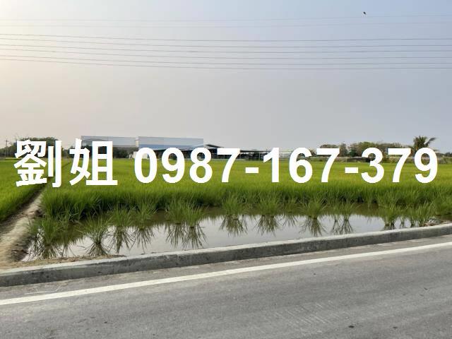 高雄橋頭農地-1