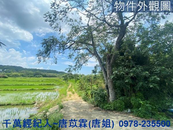 新竹竹東農地-1