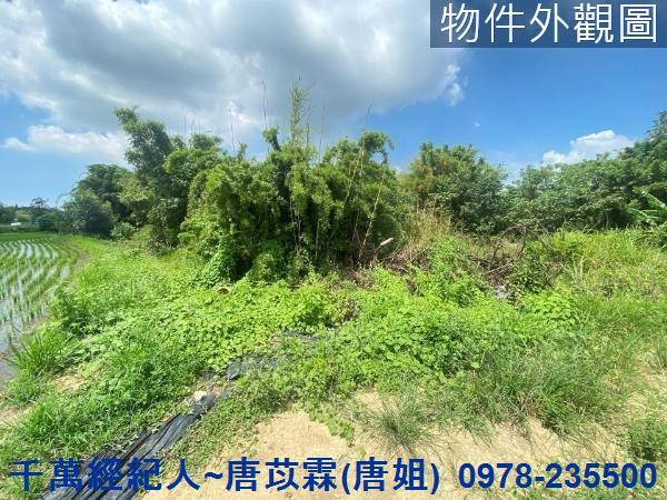 新竹竹東農地-2