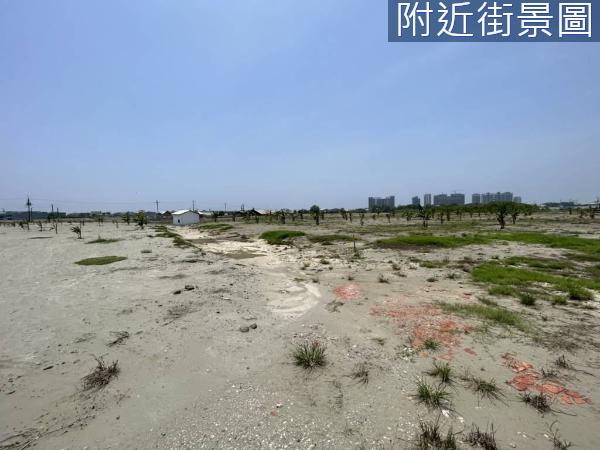 台南仁德農地-8