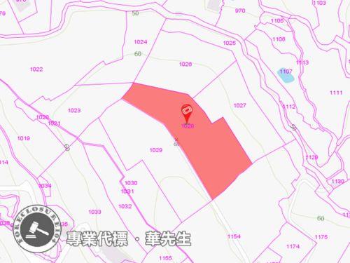 新北淡水農地拍賣-1