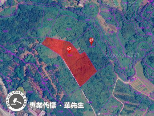新北淡水農地拍賣-3